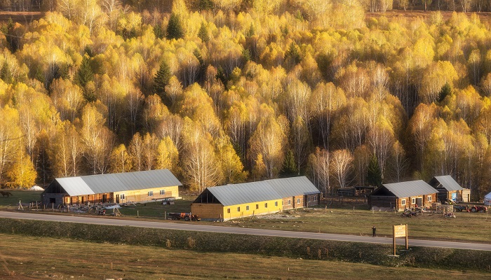 新疆旅游攻略 新疆旅游