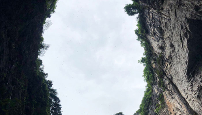 天坑地缝在重庆哪 天坑地缝在哪