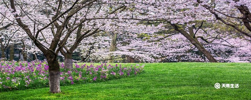 湖州市春季赏花去哪里 推荐湖州市春季赏花好去处