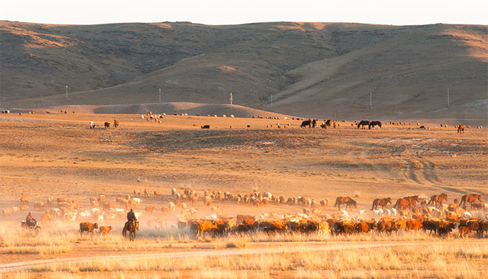 盘王节是哪个民族的节日 盘王节是几月几号