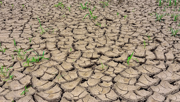 中东地区国家温度 中东地区的历史上最高温度