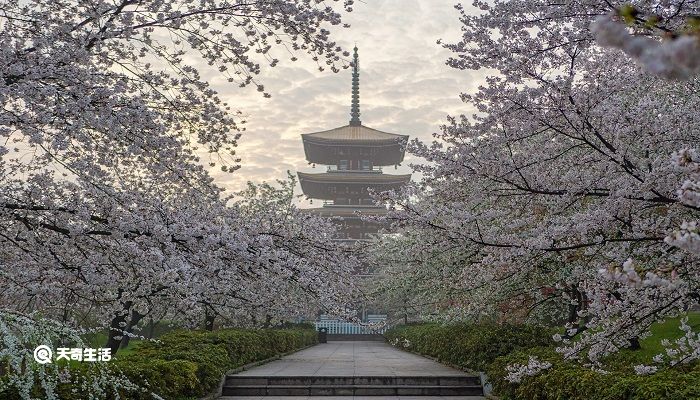 雅安市春季赏花去哪里 推荐雅安春季赏花好去处