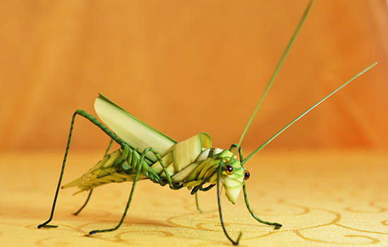 成都有哪些工艺品 成都特产