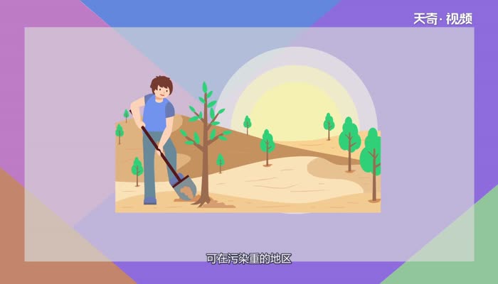 酸雨形成的主要气体 酸雨形成的气体