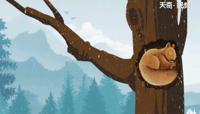 冬眠的动物有哪些 冬眠动物分为哪几种