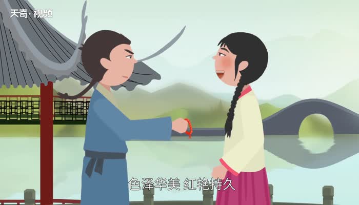 相思豆是什么 相思豆是红豆吗