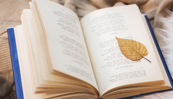 一块变九块打一成语 一块变九块打一成语是什么