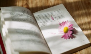 一句话领悟人生 一句话领悟人生 博主