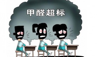 什么东西除甲醛最快（什么东西除甲醛最快最有效果）