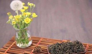 蒲公英茶有什么功效 蒲公英茶有什么功效和禁忌