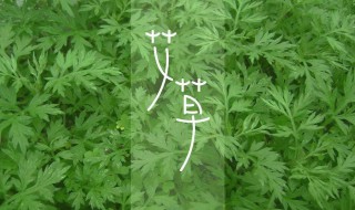 艾叶洗脸有什么好处（艾叶洗脸有什么好处和功效）