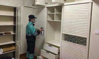 什么东西去除甲醛味最快 哪样东西去除甲醛最快
