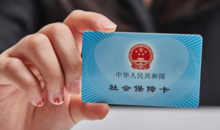 社保怎么查询个人账户（上海社保怎么查询个人账户）