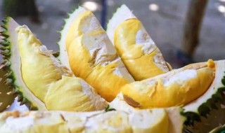 榴莲剥开没熟怎么办 榴莲剥开没熟怎么办夏天