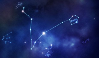 12星座白羊座最适合什么星座（12星座白羊座最适合什么星座的人）
