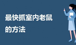 最快抓室内老鼠的方法（最快抓室内老鼠的方法是什么）
