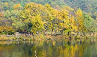 北京周边景点排名前十（北京周边景点排名前十位）