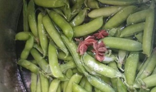 豆荚怎么放冰箱保存 豆荚能放冰箱吗