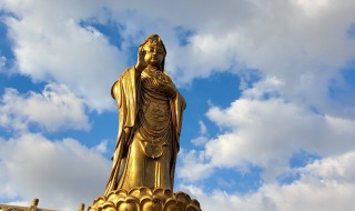 普陀山南海观音介绍（普陀山南海观音简介）
