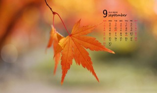 9月份节日（9月份节日纪念日有哪些）