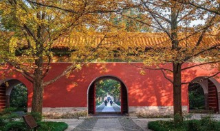 南京免费景点（南京免费景点怎么预约）