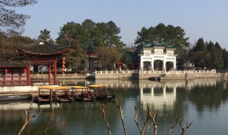 大观园在哪（大观园在哪个省哪个市）