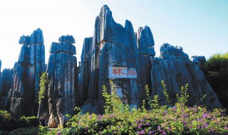云南旅游攻略七日游（云南旅游攻略七日游自由行）