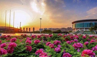 洛阳市旅游景点（河南省洛阳市旅游景点）