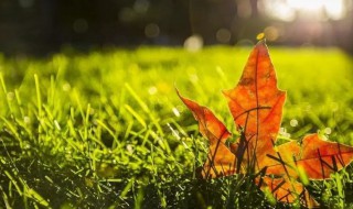 秋分后天气还热吗 过完秋分还热吗
