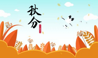 秋分的特点是什么（春分秋分的特点）