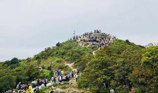 深圳梧桐山海拔多少米（深圳梧桐山海拔多少米和东莞银瓶山哪个高）
