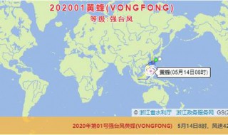 我国台风名称是怎么命名（中国台风的命名是什么）