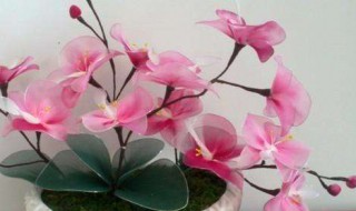 如何制作丝袜花 如何制作丝袜花絮