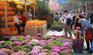 刚买的花换盆需要注意事项（换完花盆注意什么）
