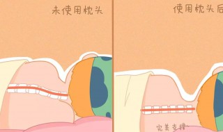 枕头正确枕法 枕头正确枕法图解