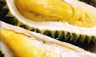 带壳榴莲储存方法（带壳子的榴莲怎么保存）