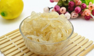 海蜇的折叠方法 海蜇的折叠方法图解