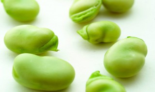 蚕豆保鲜及储存方法 蚕豆保鲜及储存方法图片