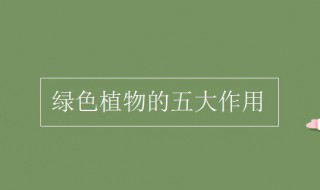 绿色植物的五大作用（绿色植物的五大作用有哪些）