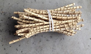 怎样正确判断竹鞭的位置（怎样看竹鞭方向）