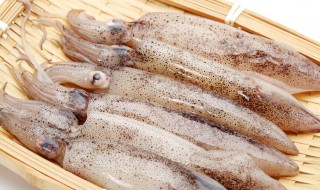 如何清洗鱿鱼 如何清洗鱿鱼视频教程
