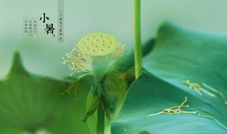 小暑的含义和由来（小暑的含义和由来简介）