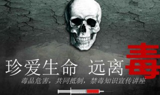 国际禁国际禁毒日是每年的哪一天 国际的禁毒日是每年的哪一天