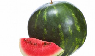 迷你西瓜种植方法（迷你西瓜种植方法视频）