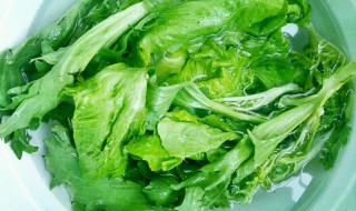 青菜如何清洗（青菜如何清洗不会坏）