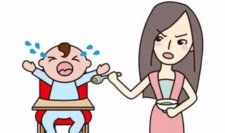 不吃饭怎么办 猫咪不吃饭怎么办