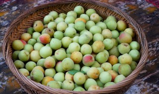 青梅一天吃多少适合（青梅什么时间吃最好）