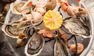 各种海鲜选购及食用禁忌知识 各种海鲜选购及食用禁忌知识讲解