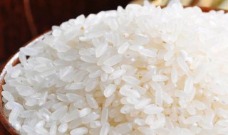 冲泡米饭的原理（冲泡米饭的原理视频）