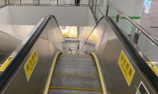 电梯怎么坐（电梯怎么坐教学视频）